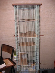 2007-03-18 12-41-46