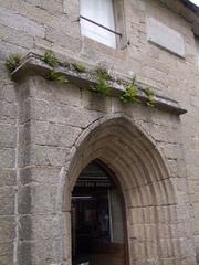 2009-05-09 521