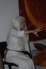DSC 0342